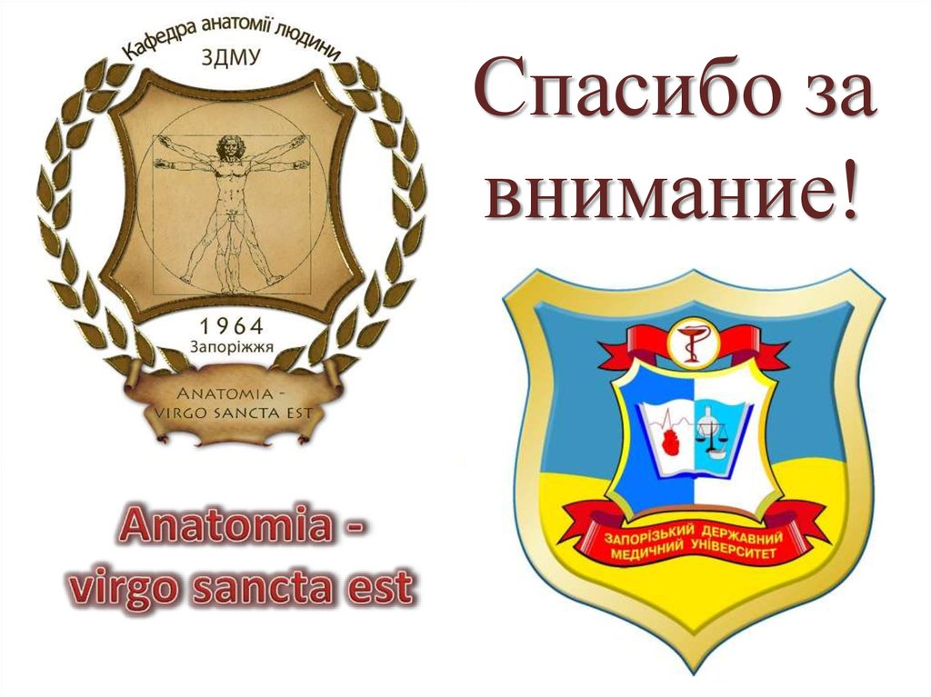 Anatomia - virgo sancta est