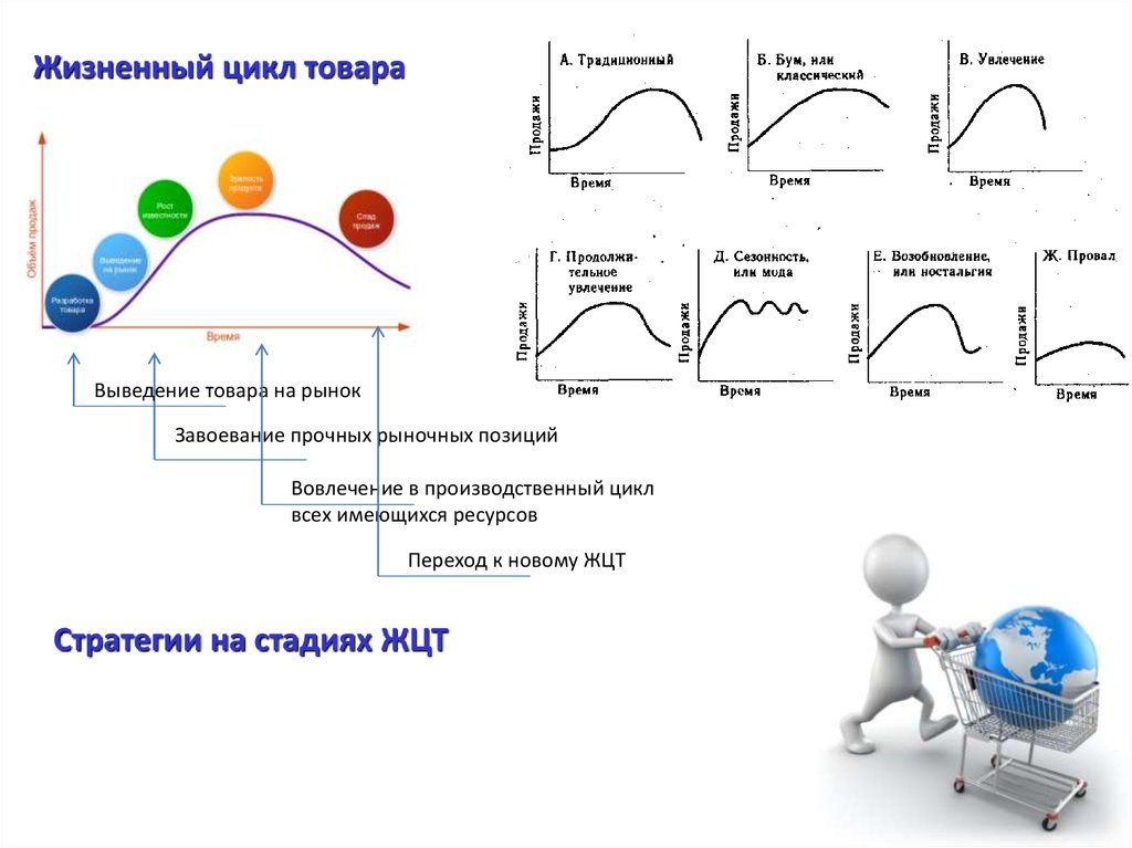 Жизненный цикл товара характеристика