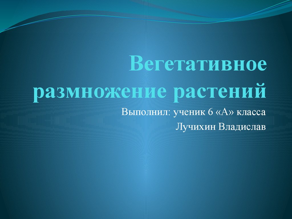 Вегетативное размножение растений - презентация онлайн