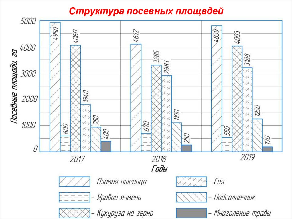 Посевные площади озимой пшеницы