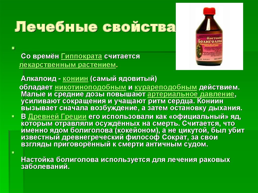 Полезные свойства буры. Болиголов настойка. Кониин. Алкалоиды болиголова. Болиголов спиртовая настойка.