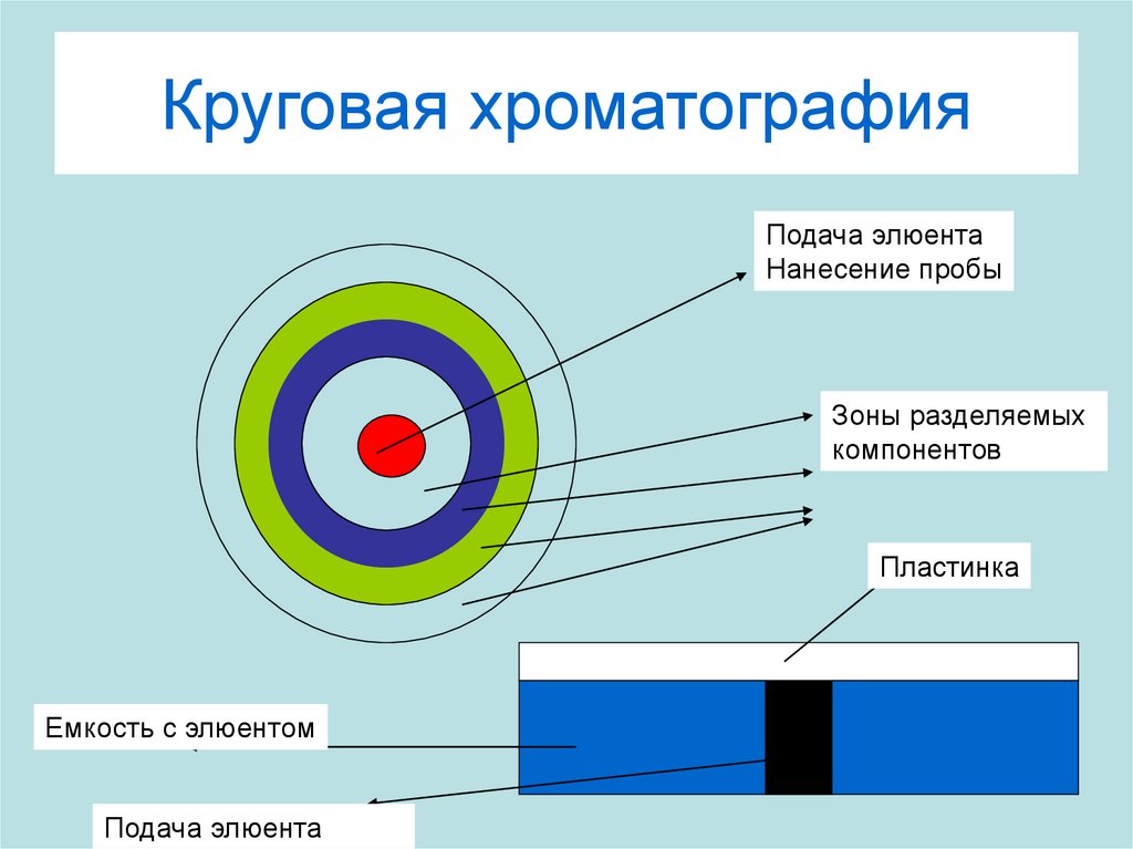 На хроматографическую пластинку образцы наносят