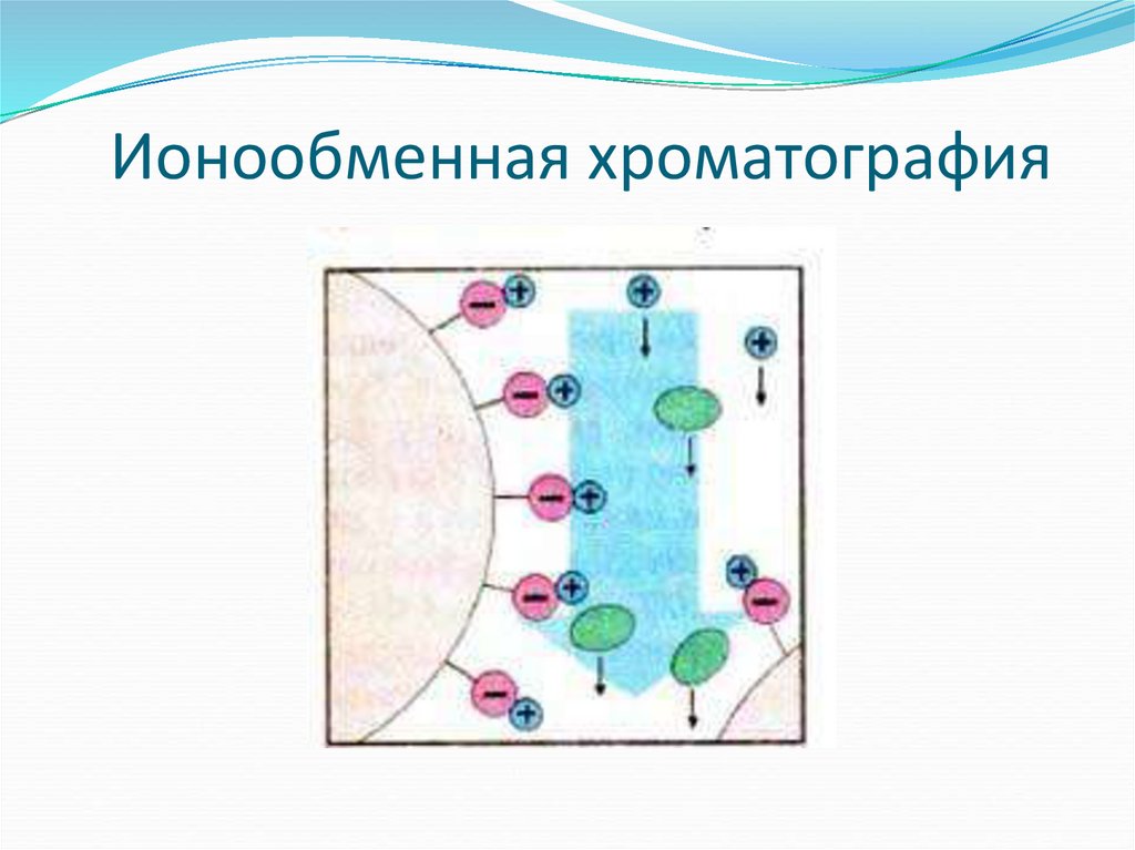 Ионообменная хроматография схема