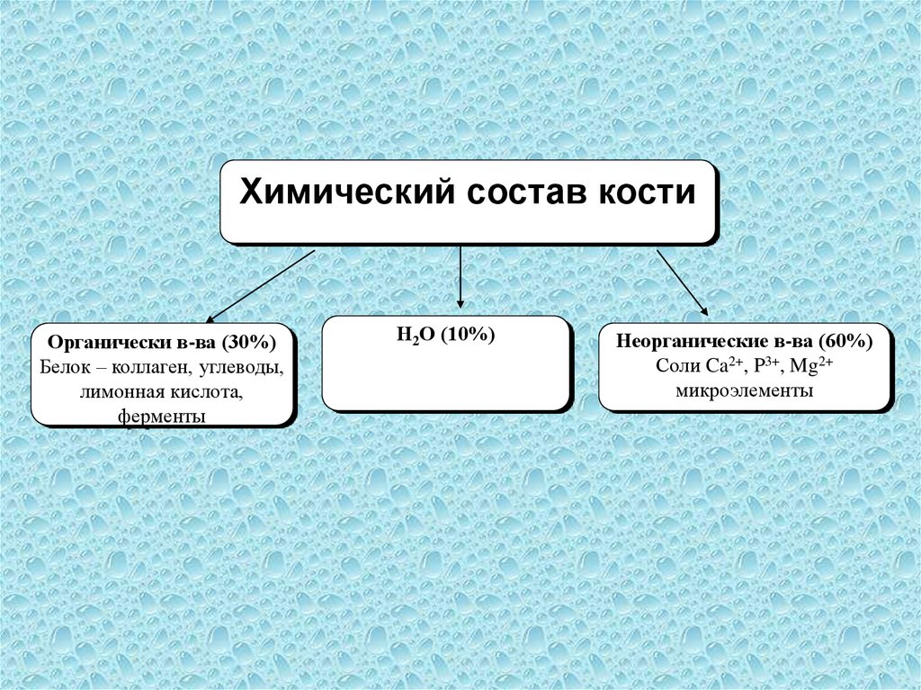 Состав костей. Химический состав костей схема. Химический состав кости человека схема. Хемический остав кости. Химический состав костей человека.