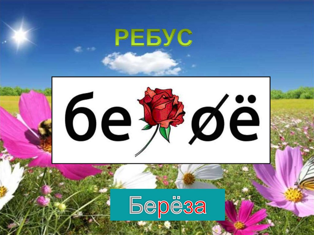 Дважды в год лета. Ребус поле. Презентация поле чудес лето. Поле ребус поле. Ребус берёза картинка.