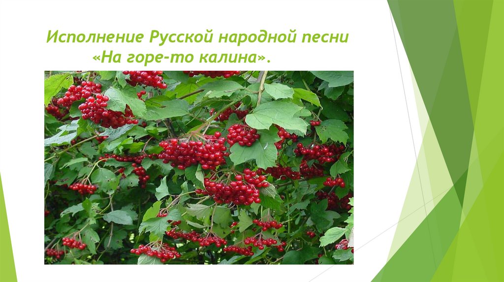 На горе то Калина. На горе-то Калина русская народная. На горе-то Калина русская народная песня. Песня на горе то Калина.