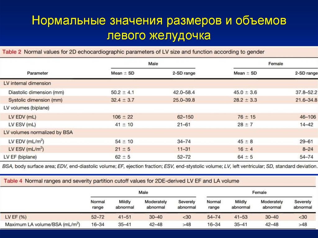 Левому количество