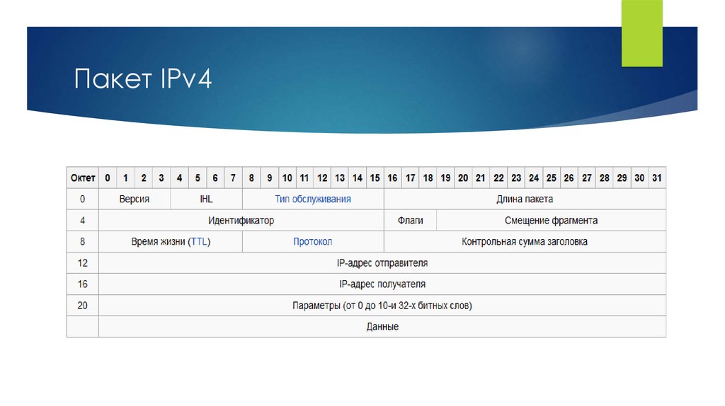 Пакет IPv4