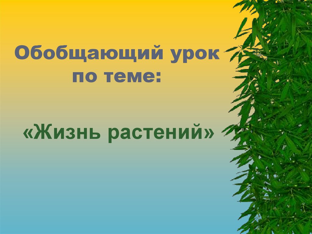 Обобщающий урок по биологии 5 класс презентация