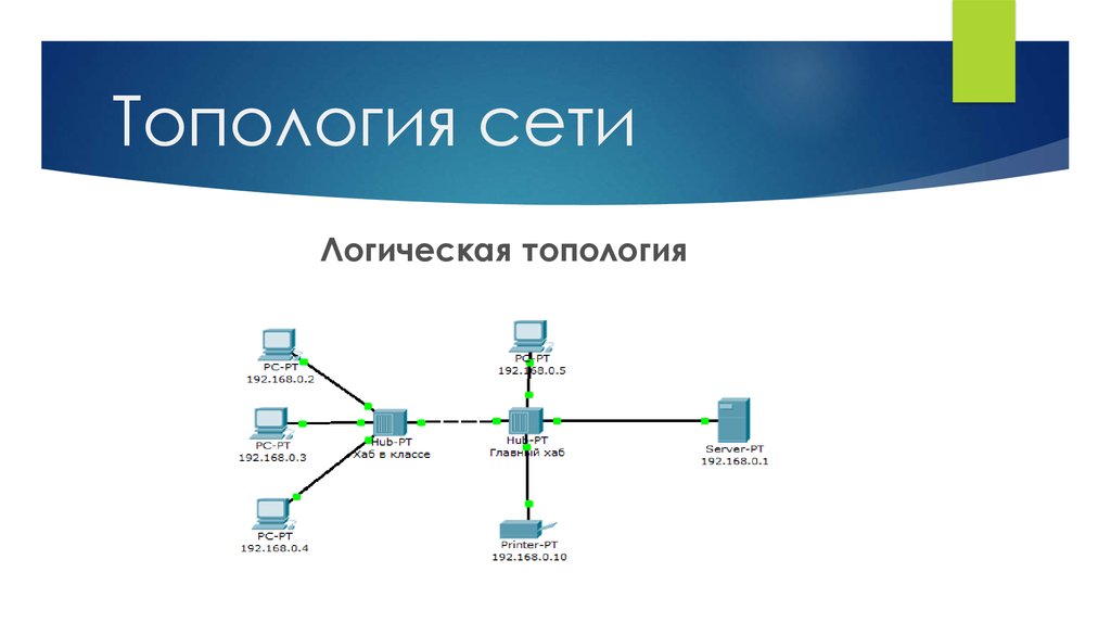 Сете образования сетевой