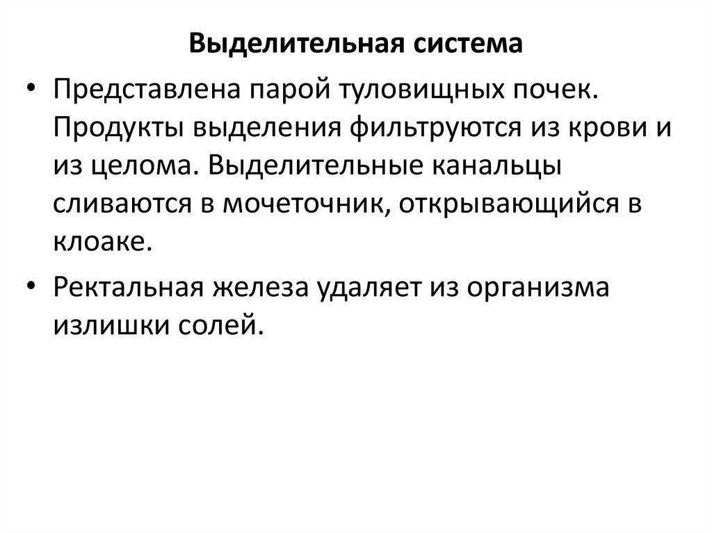 Что представляет собой пару. Туловищные почки.