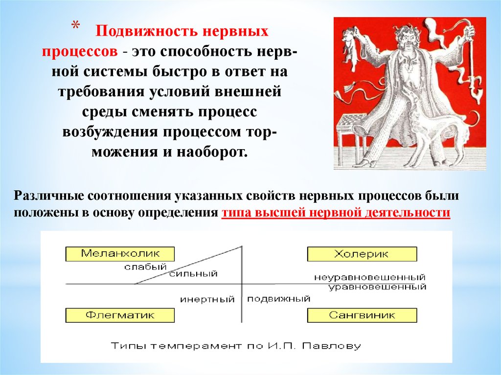 Способности нервной системы. Подвижность нервных процессов. Недостаточная подвижность нервных процессов. Мобильность нервной системы. Подвижность нервных процессов выше у.