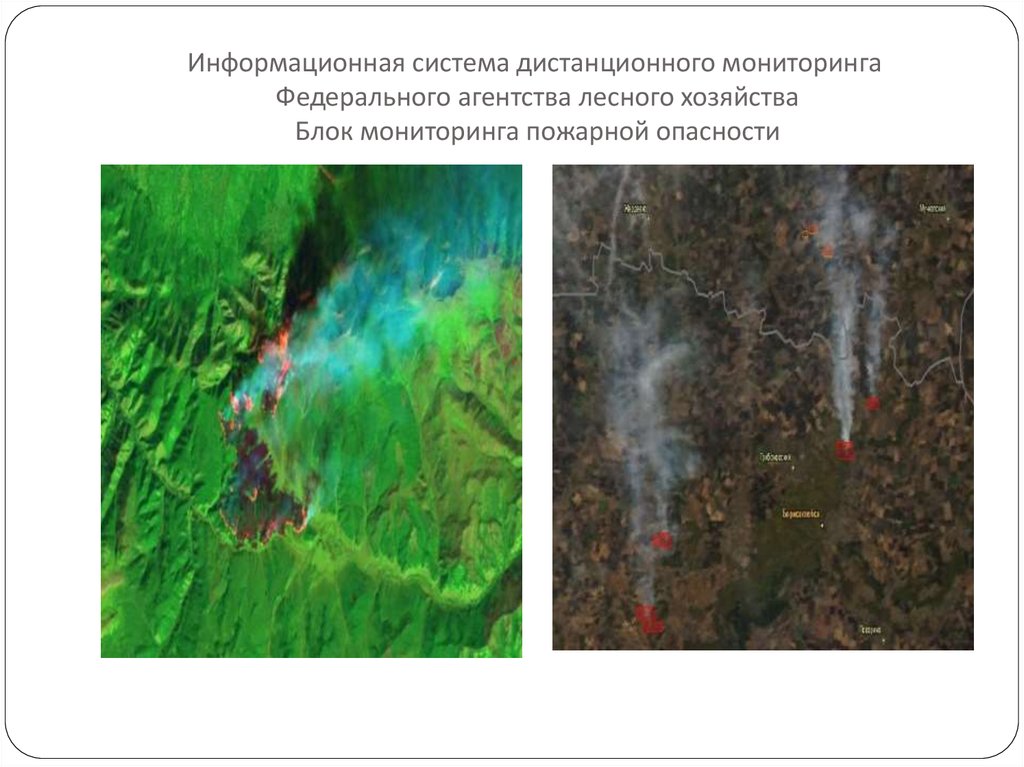 Мониторинг пожарной опасности лесов. ИСДМ-Рослесхоз мониторинг лесных пожаров. Системы дистанционного мониторинга лесных пожаров. Федеральное агентство лесного хозяйства. Мониторинг. Информационная система дистанционного мониторинга лесов.