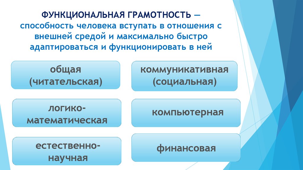 Национальный проект образование функциональная грамотность