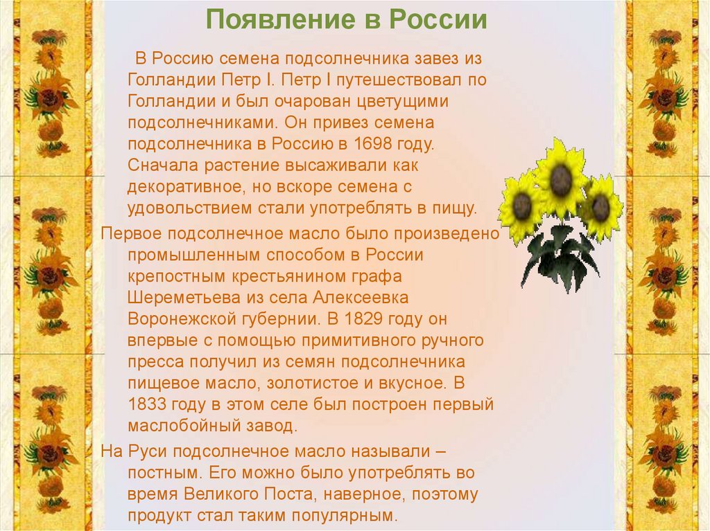 Подсолнух доклад. Подсолнечник информация. Подсолнух история возникновения. Интересные факты о подсолнухе. Подсолнух 2 класс.