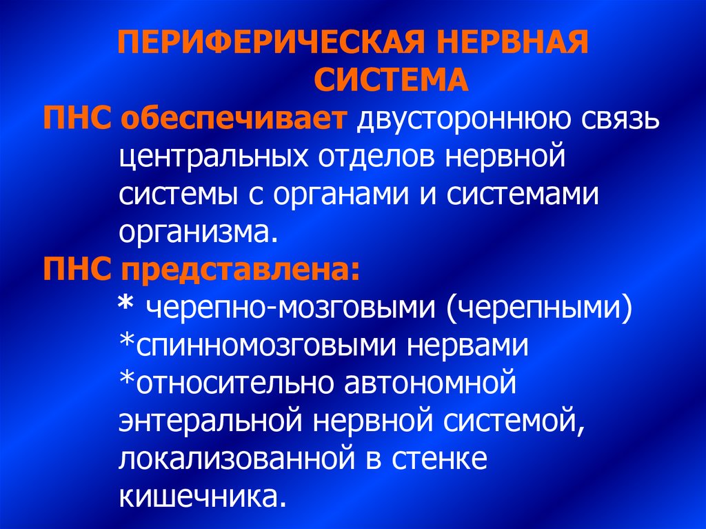 Отдел периферической нервной. Энтеральная нервная система физиология. Функции энтеральной нервной системы. Энтеральная нервная система функции. Энтеральные нейроныан2.