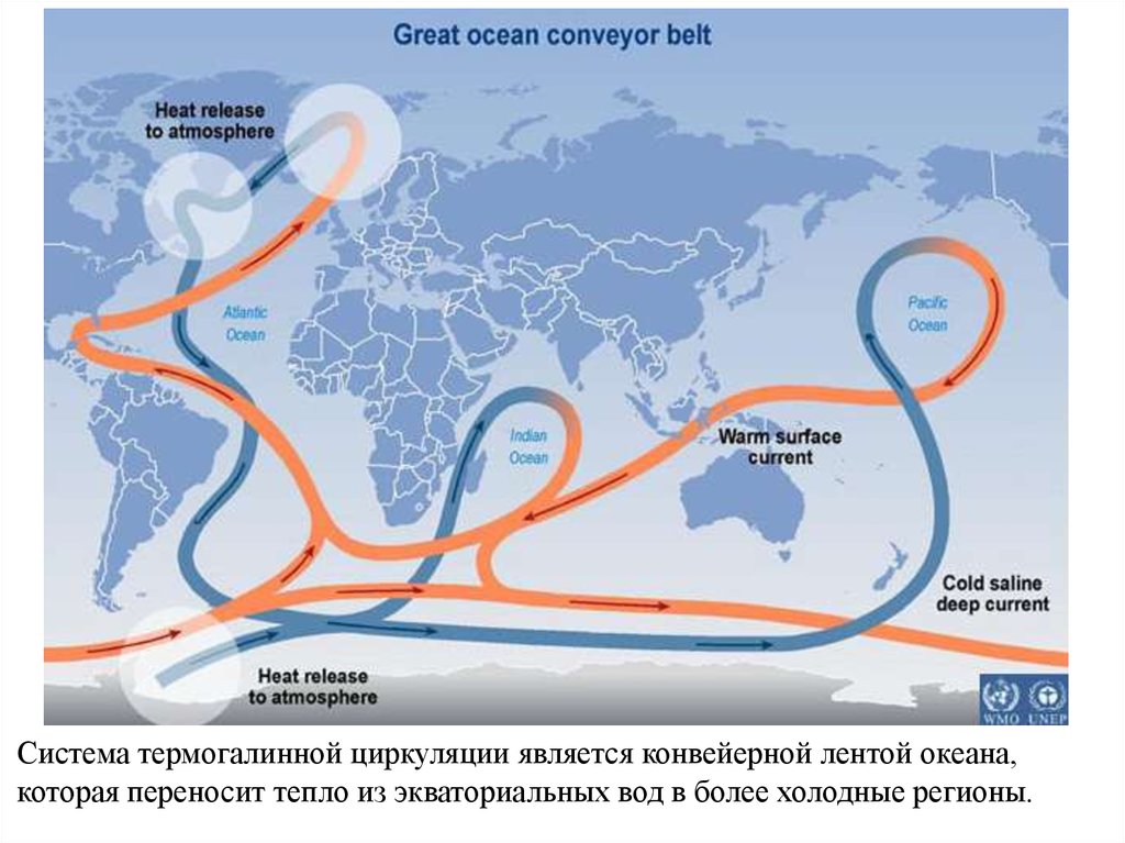 Карта океанических течений