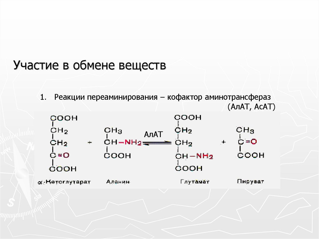 Аланин трансаминаза. Реакции переаминирования аспататаминотрансфераза. Аминотрансфераза кофермент витамина. Аланинаминотрансфераза кофермент. Аланинаминотрансфераза реакция.