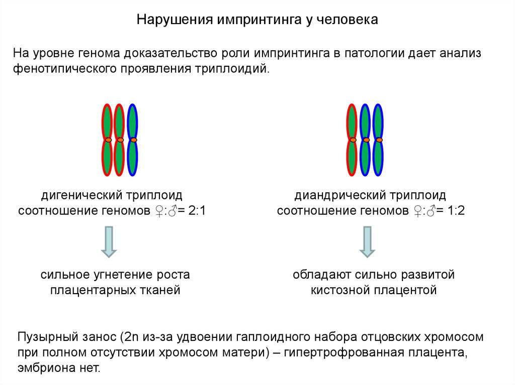 Болезни импринтинга