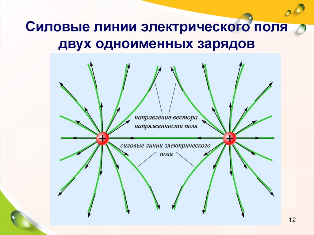 Силовые линии электрического поля двух одноименных зарядов