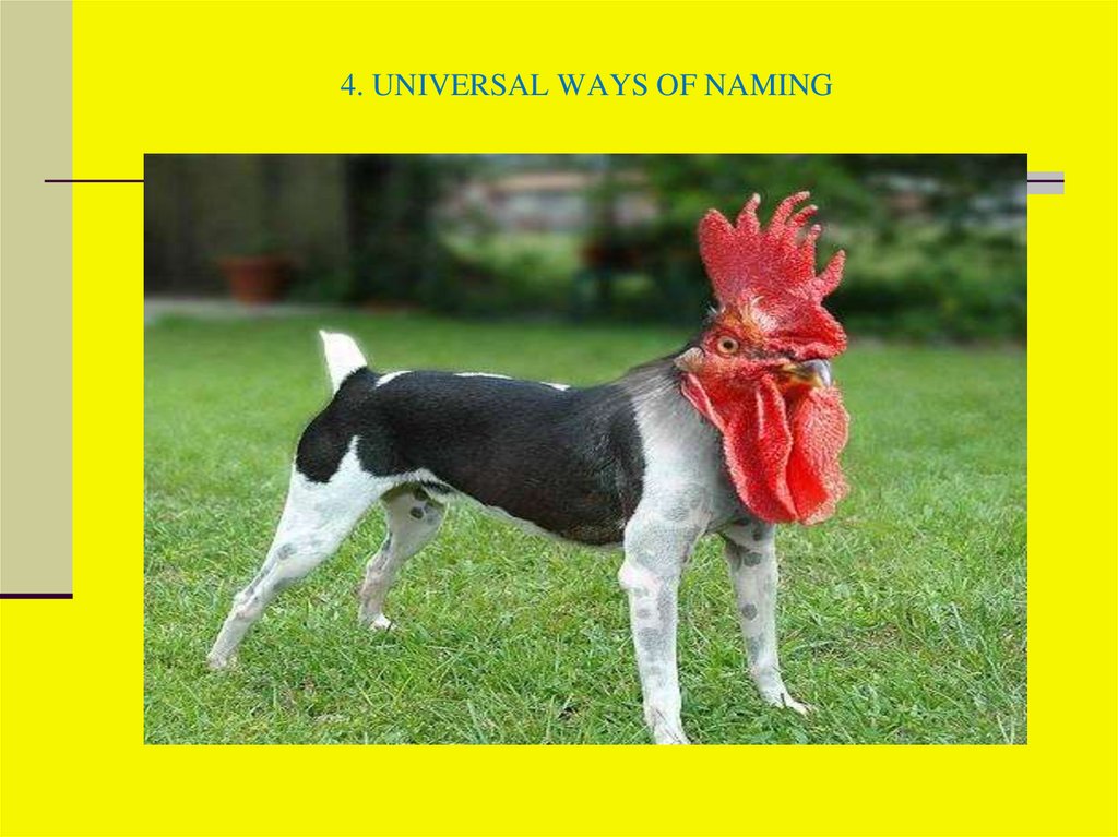 4. UNIVERSAL WAYS OF NAMING