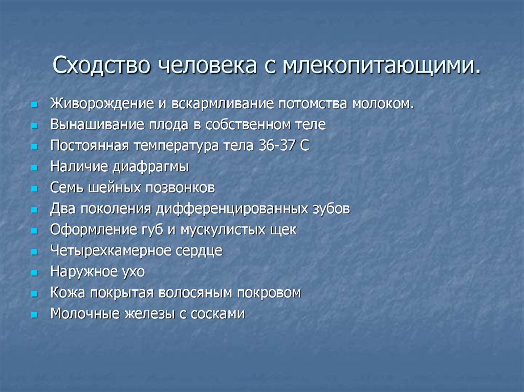 Человек и млекопитающие презентация