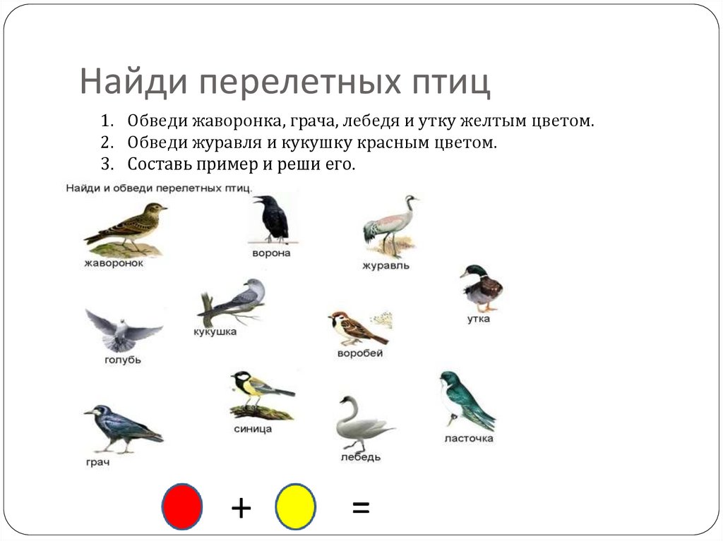 Тематическое планирование тема перелетные птицы. Задание перелетные и зимующие птицы.