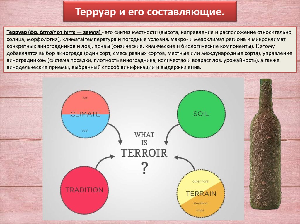 Терруар. Терруар схема. Терруар понятие. Виноградо винодельческий Терруар.