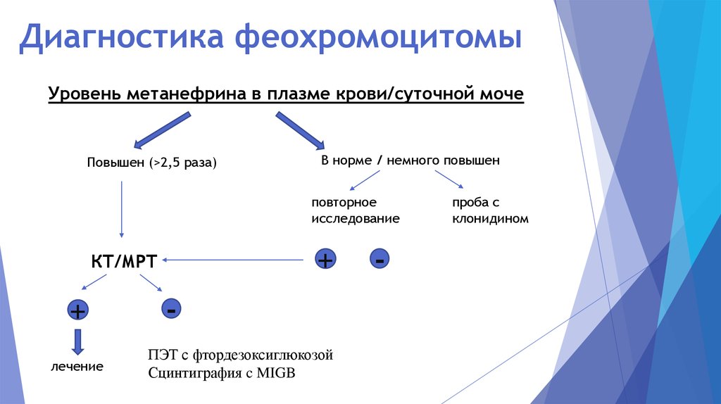 Патогенез феохромоцитомы схема