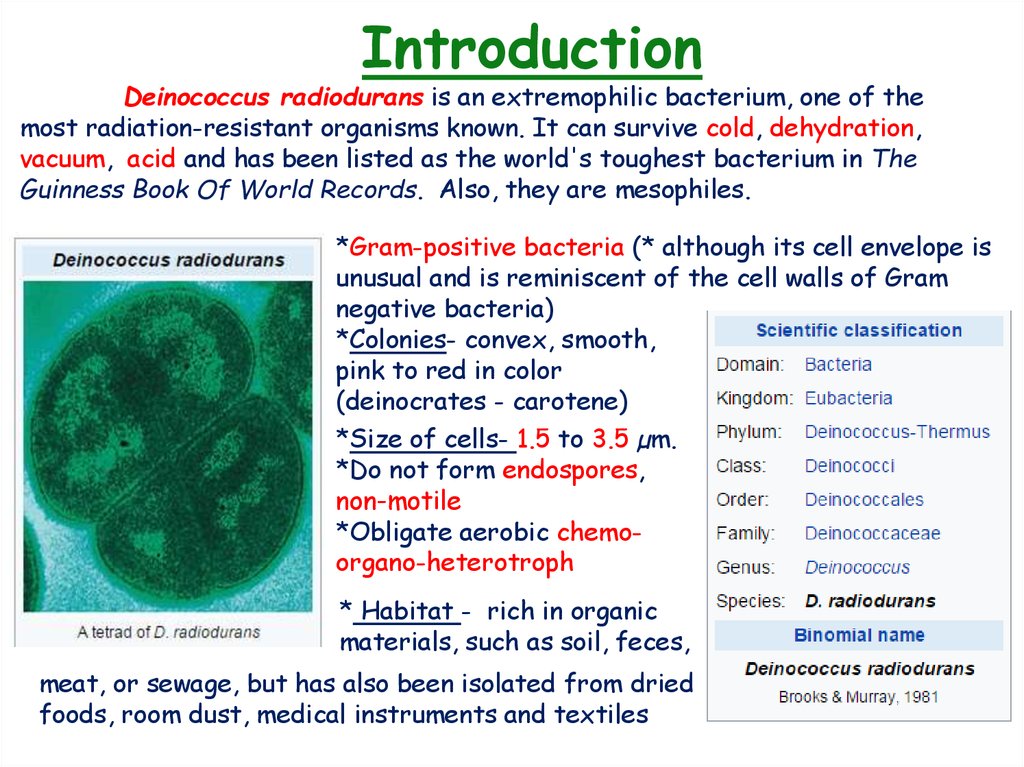 How to pronounce Deinococcus radiodurans