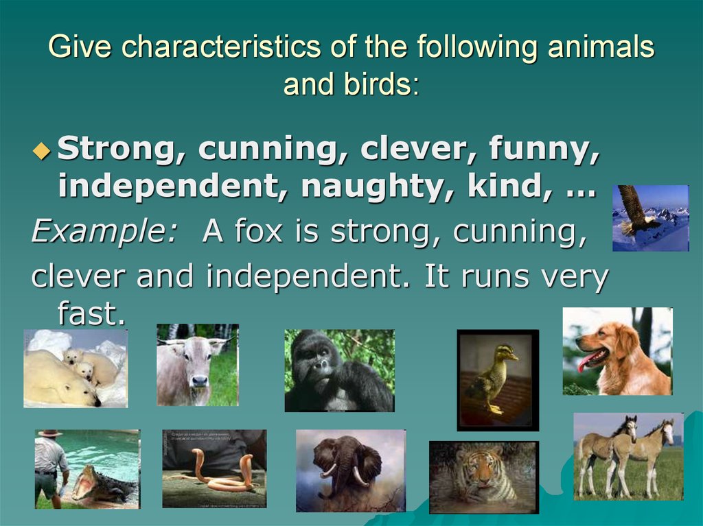Animals in our life - online presentation