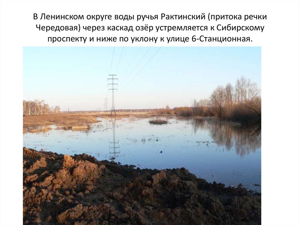 В Ленинском округе воды ручья Рактинский (притока речки Чередовая) через каскад озёр устремляется к Сибирскому проспекту и ниже