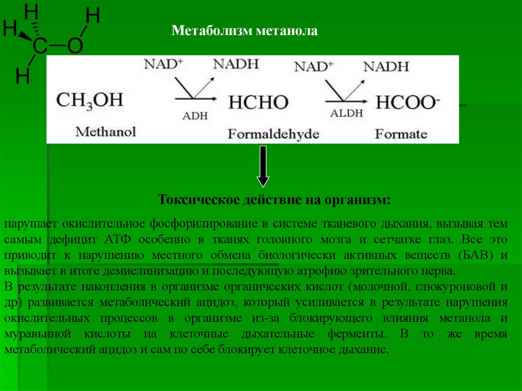Влияние метанола. Метаболизм метанола. Метаболиты метилового спирта. Схема метаболизма метанола. Биотрансформация метанола.