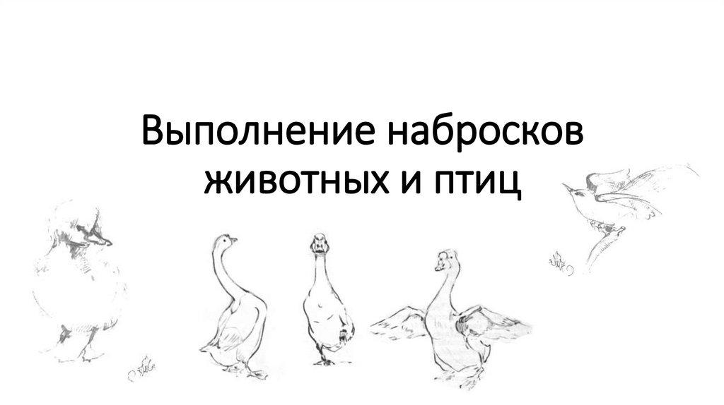 Верно ли утверждение при разработке плаката или открытки не обязательно выполнение эскиза