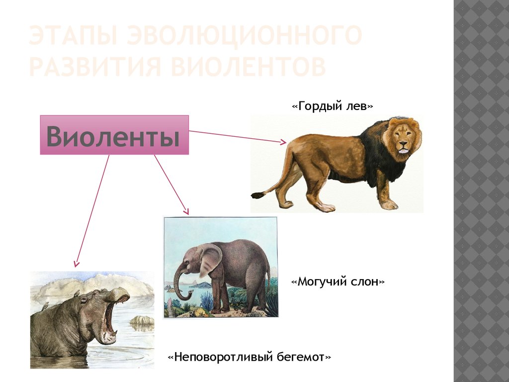 этапы эволюционного развития виолентов