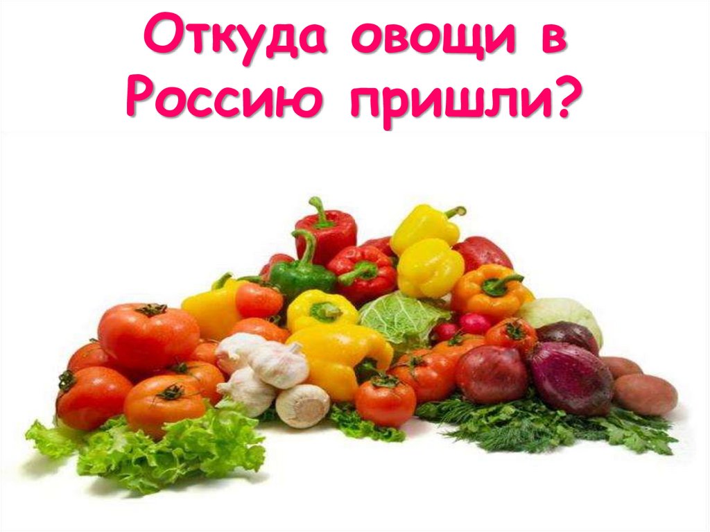 Овощи где. Самые популярные овощи в России. Овощи откуда в Россию приехали овощи. Овощи в России распространенный овощ. Самая распространённый овощ в России.