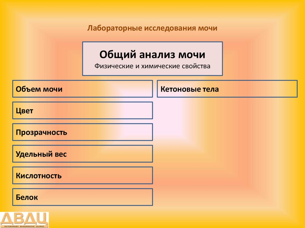 Анализы мочи презентация