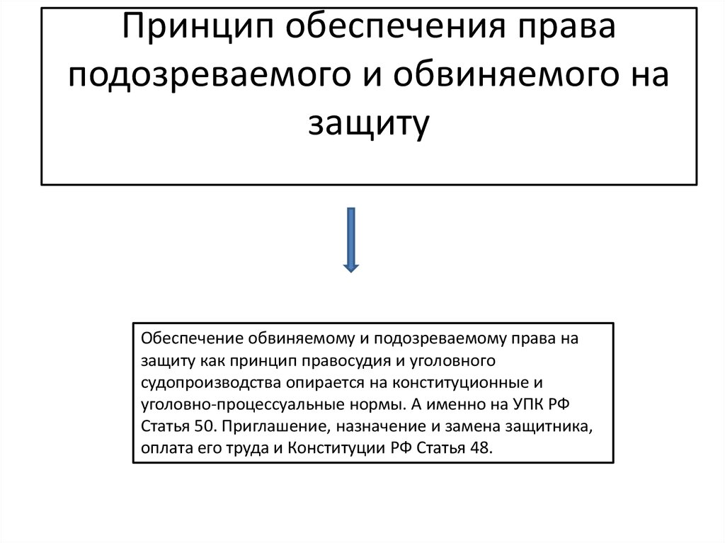 Принцип правосудия только судом. Принцип обеспечения подозреваемому и обвиняемому права на защиту. Принцип обеспечения права подозреваемого и обвиняемого на защиту. Принцип обеспечения права на защиту. Принцип обеспечения подсудимому права на защиту.