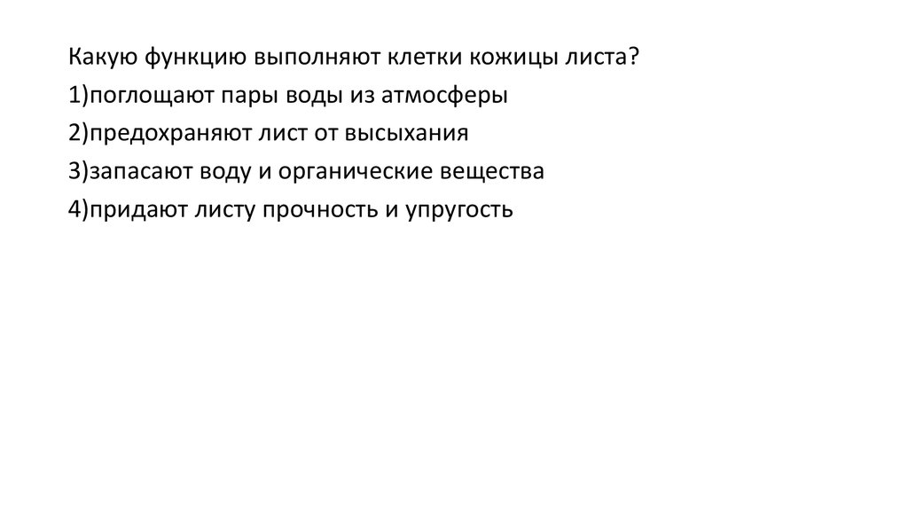 Придают стеблю прочность. Какую функцию выполняют клетки кожицы. Что придает листу прочность.