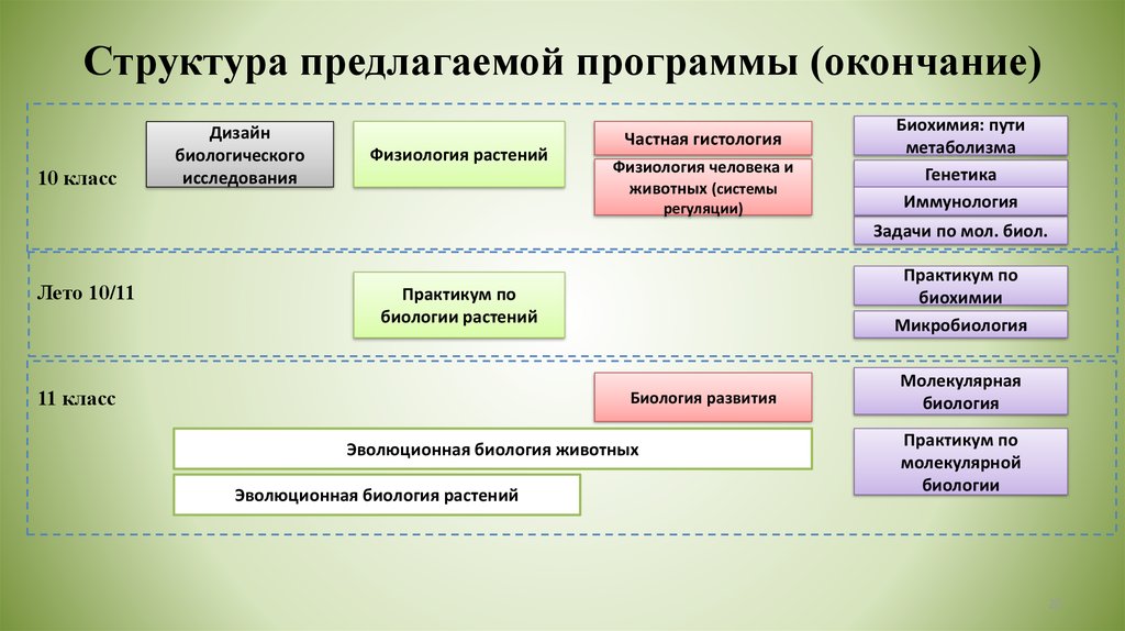 Предлагаемая структура