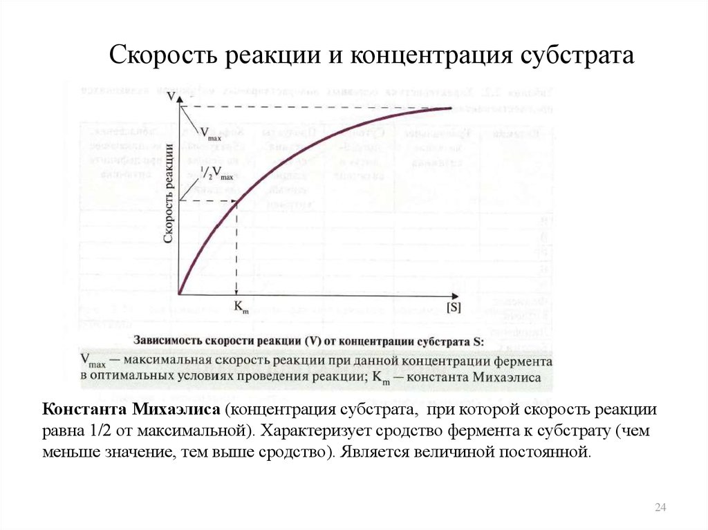 Скорость реакции ферментов. Зависимость скорости реакции от концентрации фермента. Зависимость скорости реакции от концентрации фермента и субстрата. Зависимость скорости реакции (v) от концентрации субстрата s:. Зависимость ферментативной реакции от концентрации субстрата.