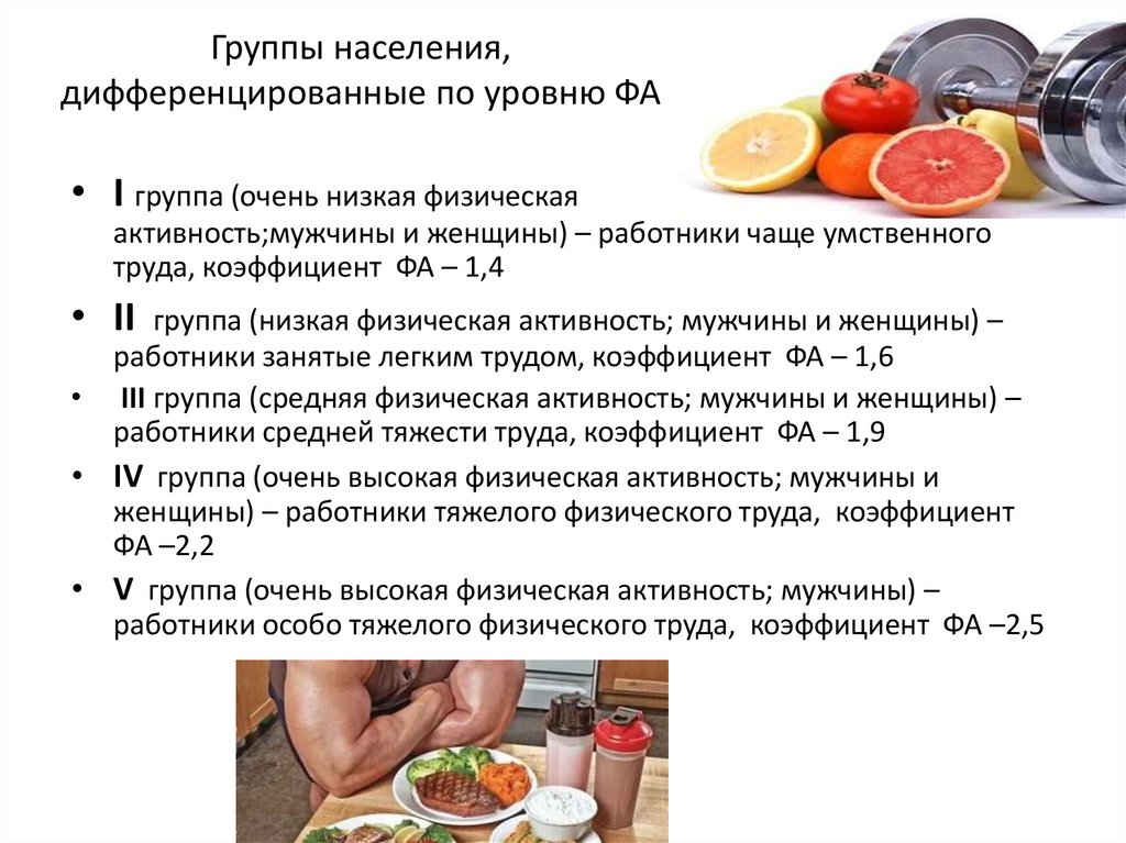 Основы питания новосибирск регистрация