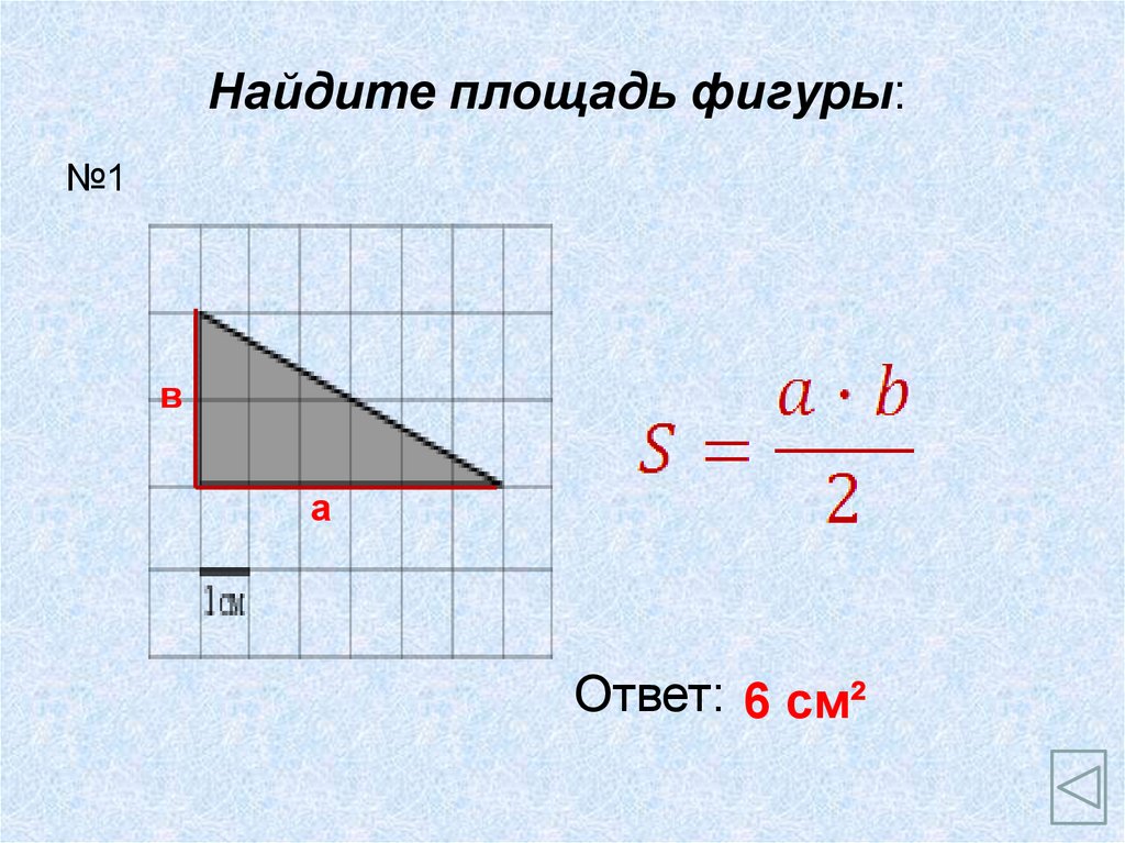 Найдите площадь прямоугольника треугольника изображенного на рисунке