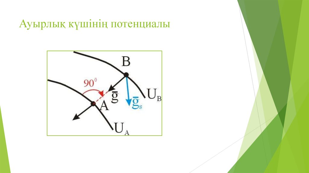 Потенциалы ветвей