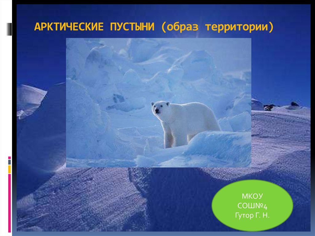 Презентация зона арктических пустынь. Проект арктические пустыни. Арктические пустыни территория. Арктические пустыни презентация. Арктические пустыни образ территории.