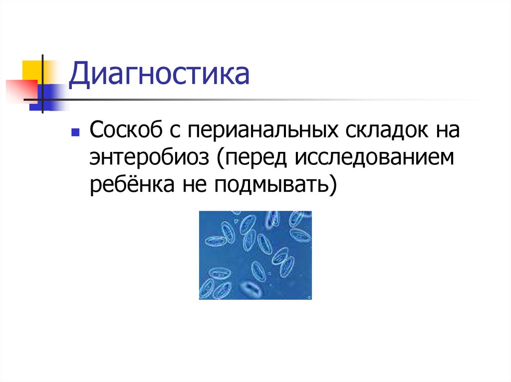 Исследование перианального соскоба. Соскоб с перианальных складок. Соскоб с перианальных складок на энтеробиоз. Исследование соскоба с перианальных складок. Соскоб с перианальных складок шпателем деревянным.