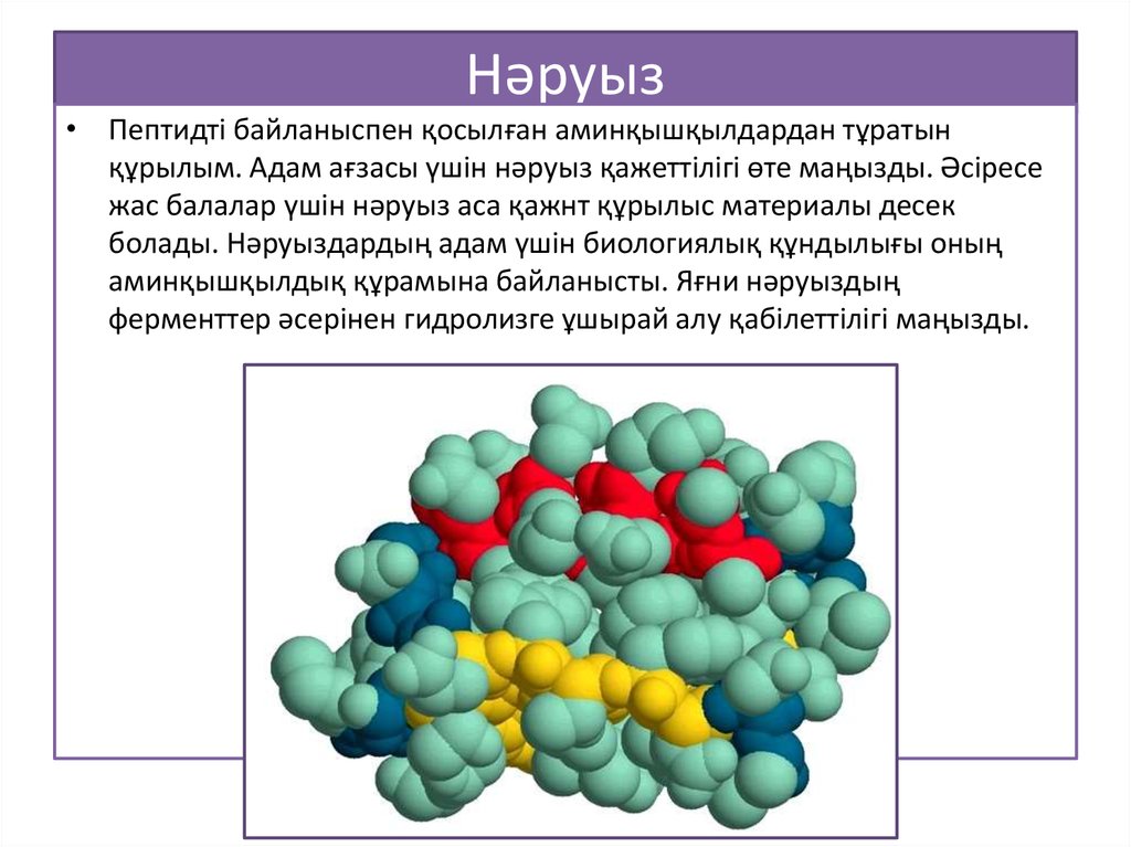 Таакпынын хоразы презентация