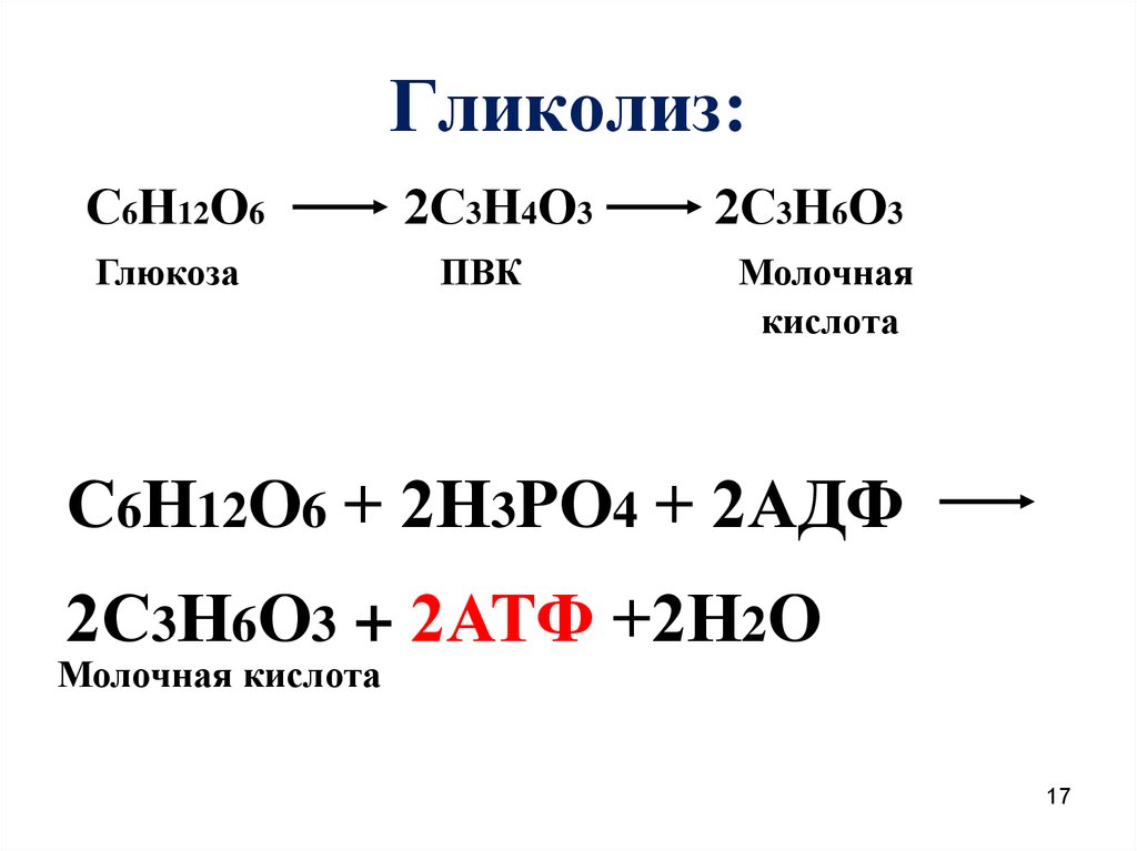 Гликолиз схема процесса