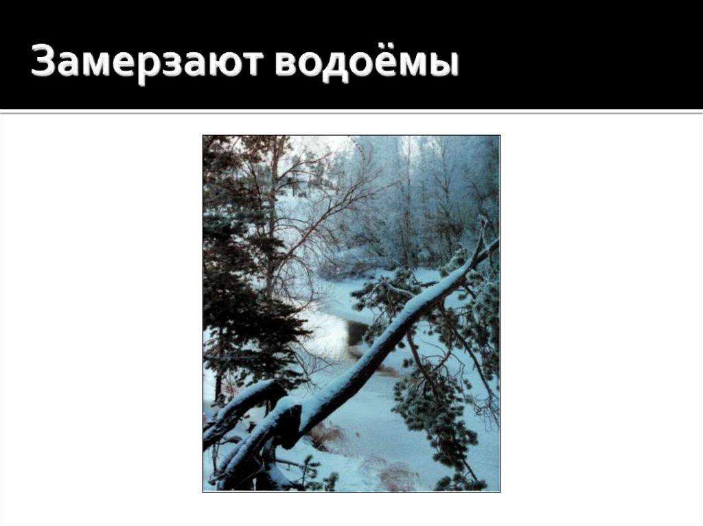 Сезонные изменения в природе зима. Изменения в неживой природе зимой. Сезонные изменения зимой в Москве.
