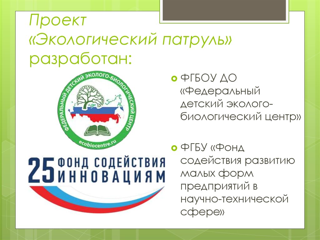 Экологический проект экологический патруль